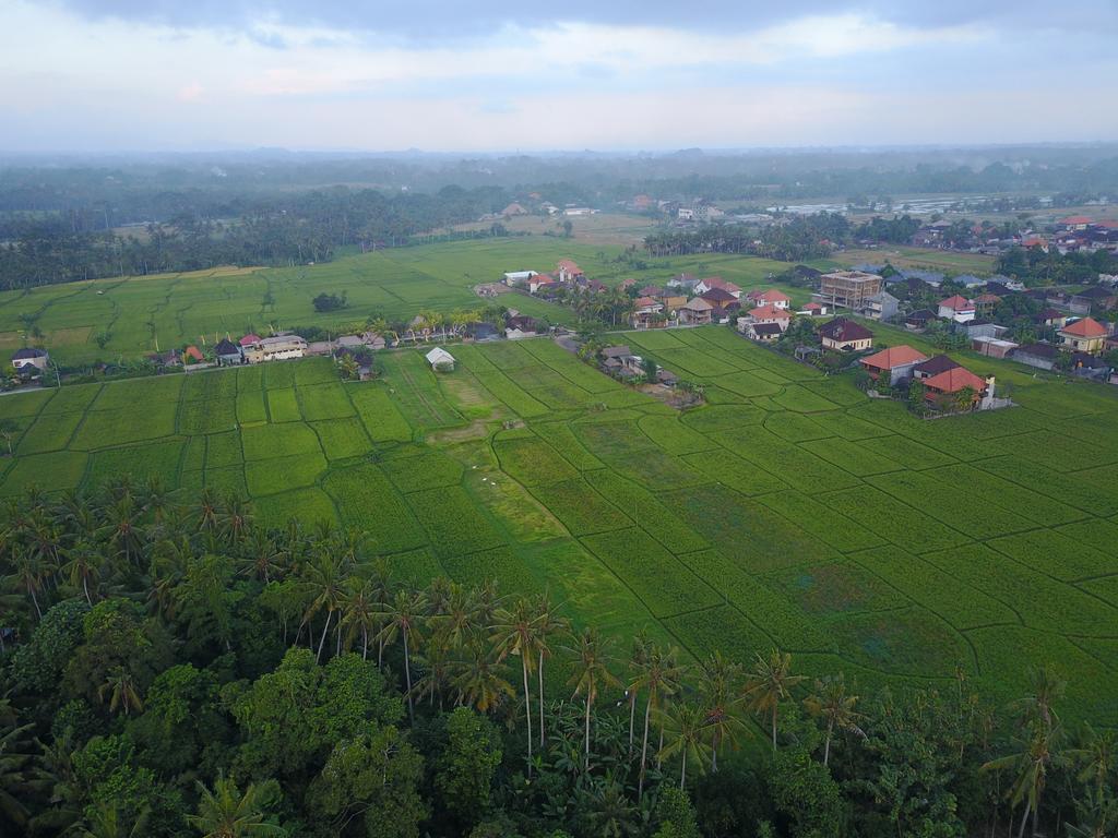 Pangkung Sari Hotel Ubud  Exterior photo