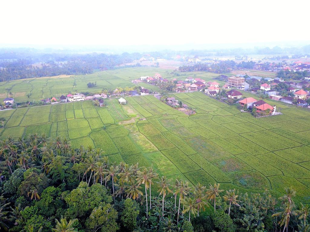 Pangkung Sari Hotel Ubud  Exterior photo